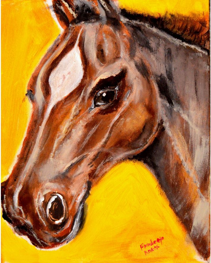 brown horse head